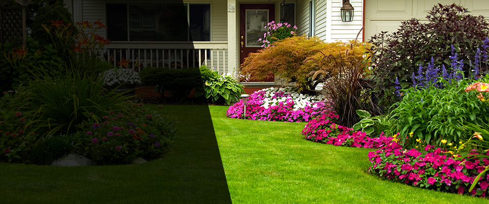 Wickenburg Landscapers