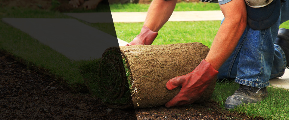 Wickenburg Landscapers